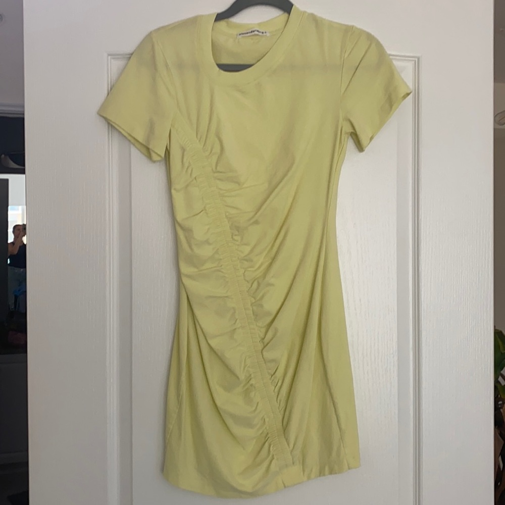 Alexander wang dress